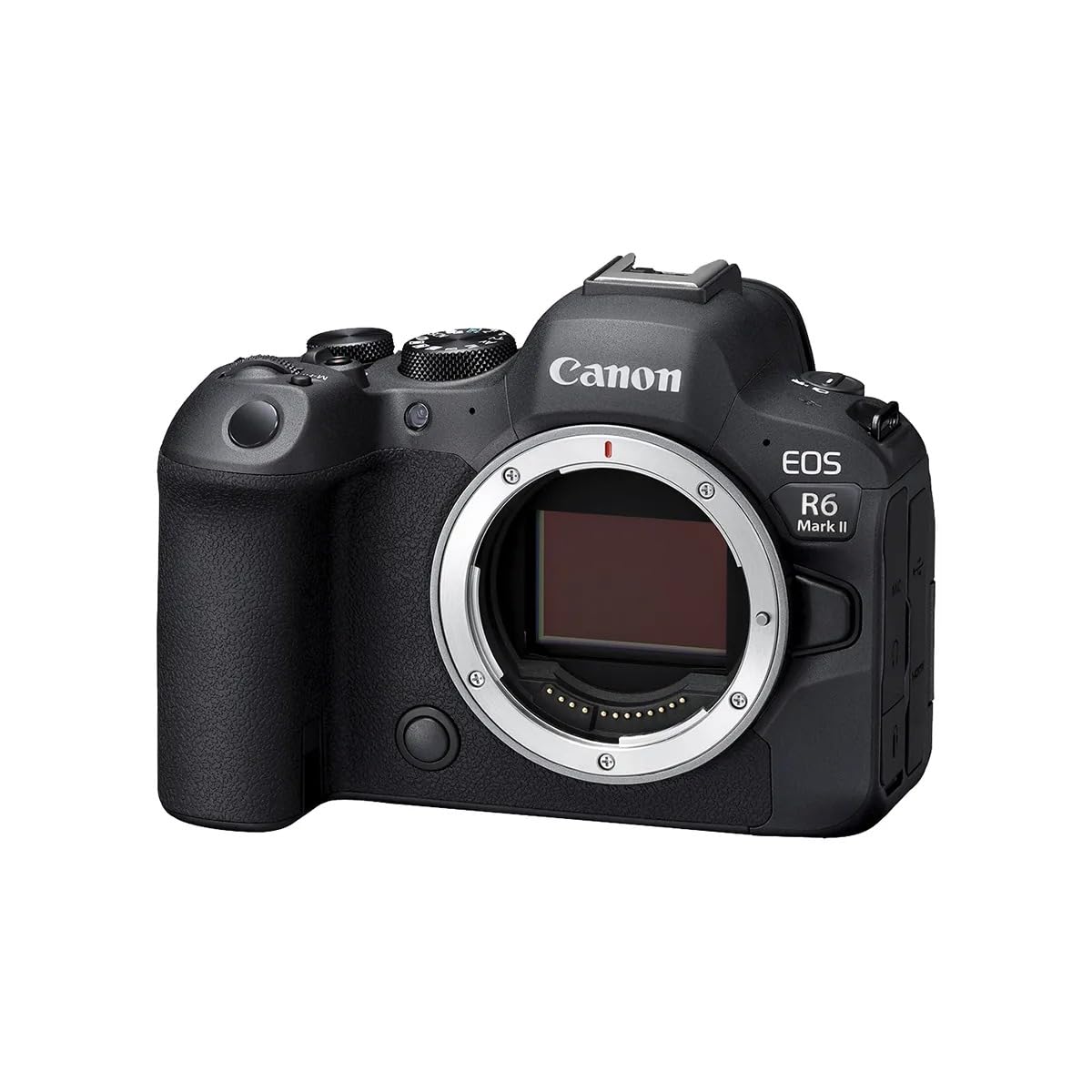 Canon EOS R6 Mark II 24-105mm STM Lens, Extra Battery & Bag Bundle