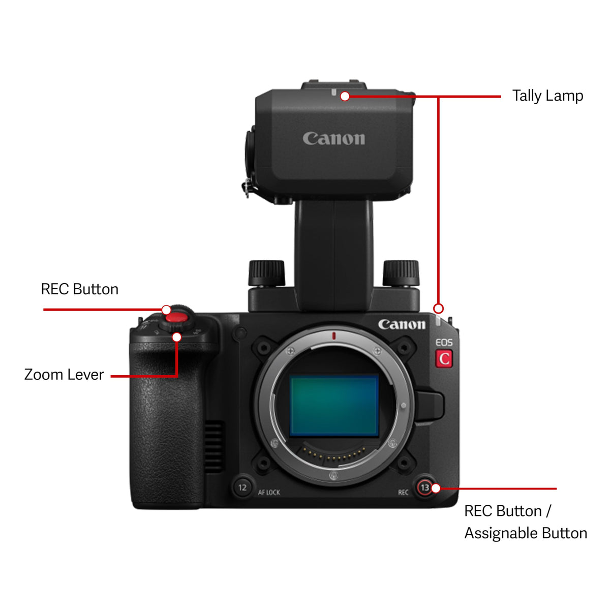 Canon EOS C50 Cinema Camera, Body Only