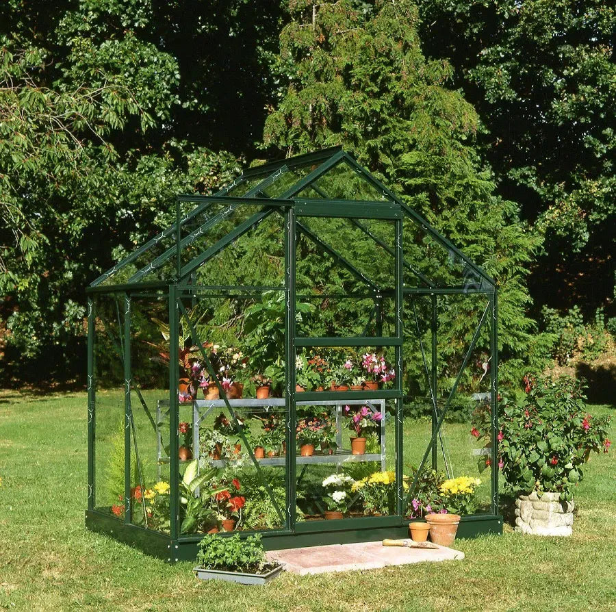 6×10 Halls Popular Green Greenhouse – 3mm Toughened Glass