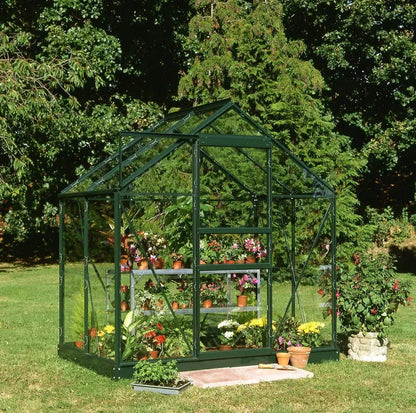 6×10 Halls Popular Green Greenhouse – 3mm Toughened Glass