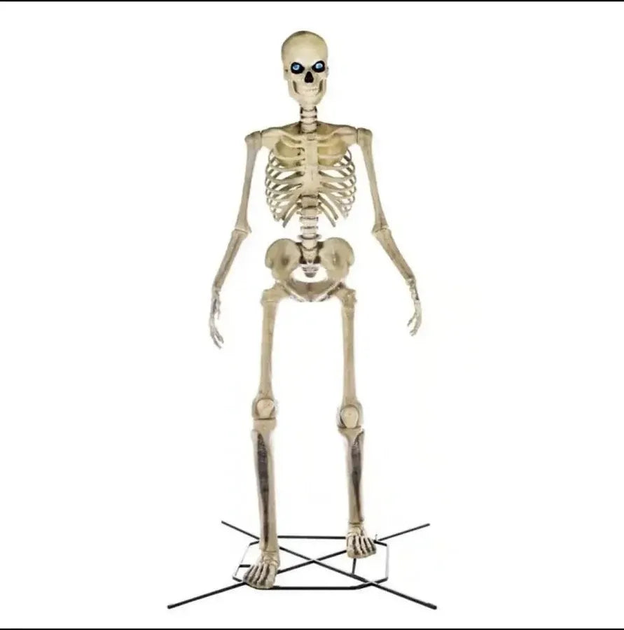 Home Accents 12 ft. Giant-Sized Skeleton with LifeEyes