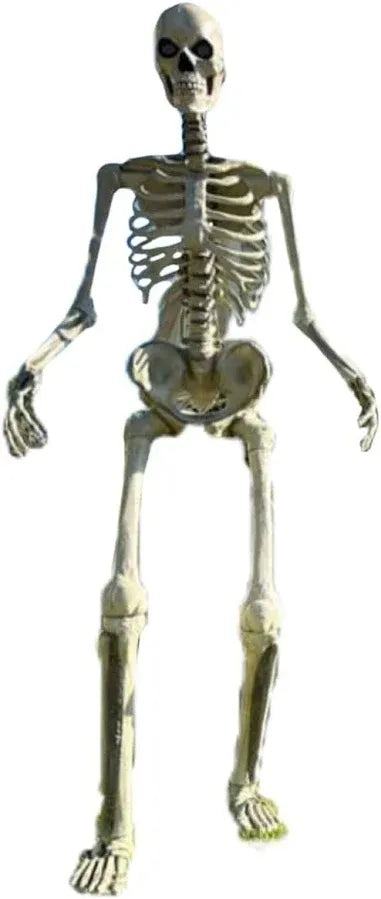 Home Accents 12 ft. Giant-Sized Skeleton with LifeEyes